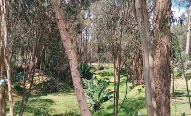 Terreno para proyectos de vivienda o bodegas en sector bodegas Supermaxi, Cotogchoa, Valle de Los Chillos