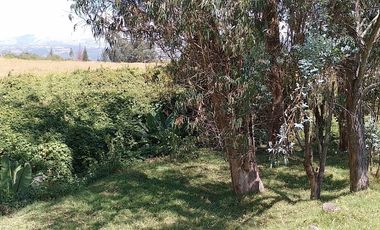 Terreno para proyectos de vivienda o bodegas en sector bodegas Supermaxi, Cotogchoa, Valle de Los Chillos