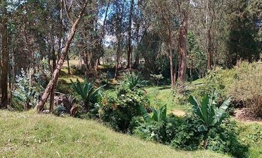 Terreno para proyectos de vivienda o bodegas en sector bodegas Supermaxi, Cotogchoa, Valle de Los Chillos