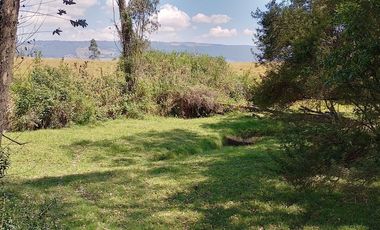 Terreno para proyectos de vivienda o bodegas en sector bodegas Supermaxi, Cotogchoa, Valle de Los Chillos