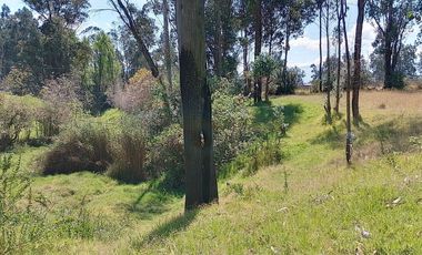 Terreno para proyectos de vivienda o bodegas en sector bodegas Supermaxi, Cotogchoa, Valle de Los Chillos