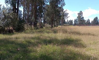 Terreno para proyectos de vivienda o bodegas en sector bodegas Supermaxi, Cotogchoa, Valle de Los Chillos