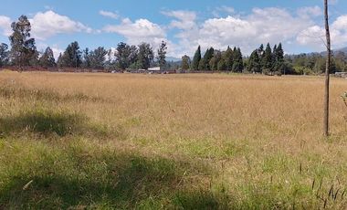 Terreno para proyectos de vivienda o bodegas en sector bodegas Supermaxi, Cotogchoa, Valle de Los Chillos