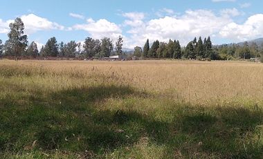 Terreno para proyectos de vivienda o bodegas en sector bodegas Supermaxi, Cotogchoa, Valle de Los Chillos