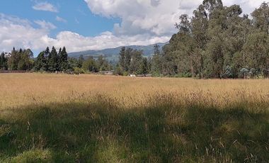 Terreno para proyectos de vivienda o bodegas en sector bodegas Supermaxi, Cotogchoa, Valle de Los Chillos