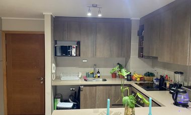 Departamento Con Vista Inigualable A Puerto Varas