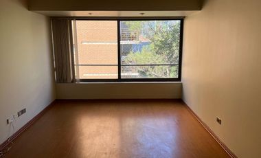 Departamento 1D1B, Providencia, Santiago