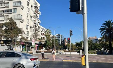 Departamento 1D1B, Providencia, Santiago