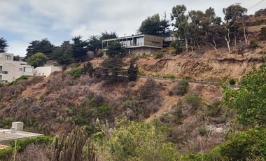 Terreno de 4195m2 En Condominio Punta Pite, Zapallar