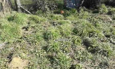 Se Vende Sitio en Villa Mañihuales. Comuna de Aysen. Región de Aysén