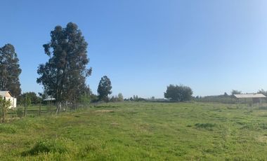 Se Vende Parcela de Agrado de 5.000 m² en Los Cuncos, San Rafael