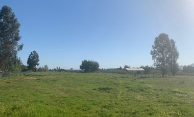 Se Vende Parcela de Agrado de 5.000 m² en Los Cuncos, San Rafael