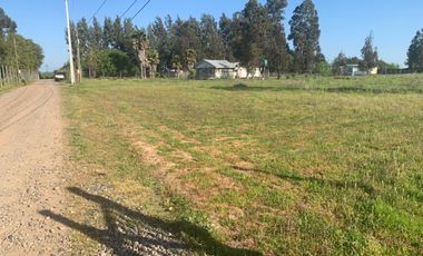 Se Vende Parcela de Agrado de 5.000 m² en Los Cuncos, San Rafael