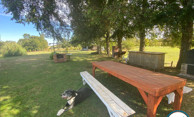 Parcela con Casa en Arriendo, Hermoso Entorno, Los Castaños, Camino Huichahue