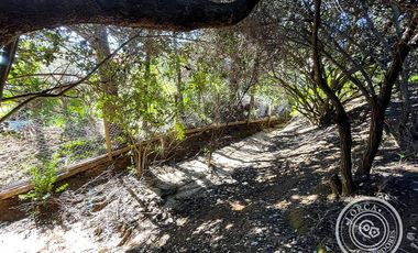 Sitio en venta sector Teniente Serrano Quilpué