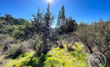 Sitio en venta sector Teniente Serrano Quilpué