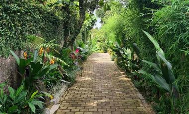 Tropical Villa Near Nyanyi Beach Buwit Canggu Badung Bali