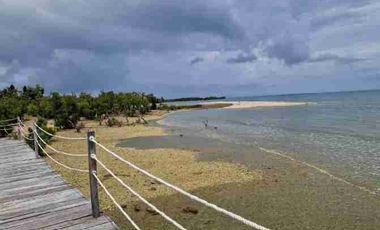 House for sale in Cebu City, Aduna Beach Villas