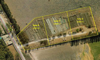 3 parcelas de 5000m2 c/u, rurales en plena calle Nva Coquimbo, con agua pozo y potable