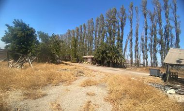 3 parcelas de 5000m2 c/u, rurales en plena calle Nva Coquimbo, con agua pozo y potable