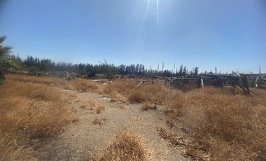 3 parcelas de 5000m2 c/u, rurales en plena calle Nva Coquimbo, con agua pozo y potable