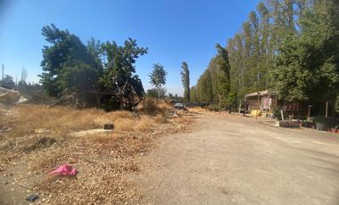 3 parcelas de 5000m2 c/u, rurales en plena calle Nva Coquimbo, con agua pozo y potable