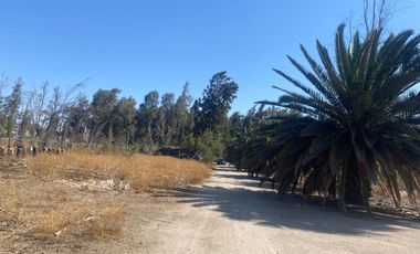 3 parcelas de 5000m2 c/u, rurales en plena calle Nva Coquimbo, con agua pozo y potable