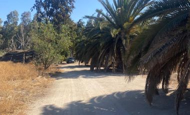 3 parcelas de 5000m2 c/u, rurales en plena calle Nva Coquimbo, con agua pozo y potable