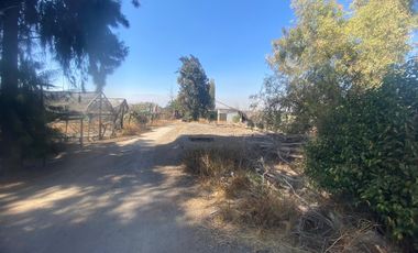 3 parcelas de 5000m2 c/u, rurales en plena calle Nva Coquimbo, con agua pozo y potable