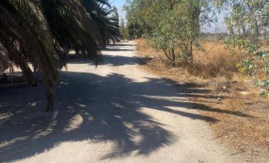 3 parcelas de 5000m2 c/u, rurales en plena calle Nva Coquimbo, con agua pozo y potable