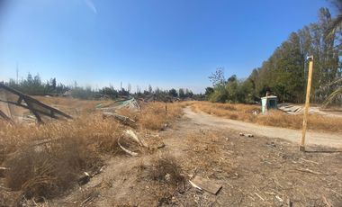 3 parcelas de 5000m2 c/u, rurales en plena calle Nva Coquimbo, con agua pozo y potable