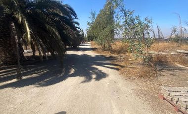 3 parcelas de 5000m2 c/u, rurales en plena calle Nva Coquimbo, con agua pozo y potable