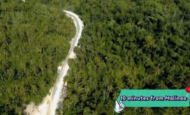 1.4 hectares lot for sale in SIARGAO