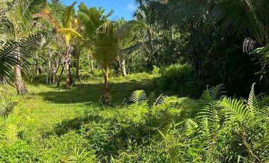 1.4 hectares lot for sale in SIARGAO