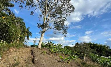 Vendo o permuto Lote en Combia