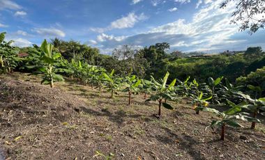Vendo o permuto Lote en Combia
