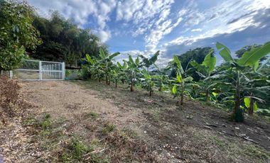 Vendo o permuto Lote en Combia