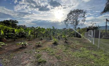Vendo o permuto Lote en Combia