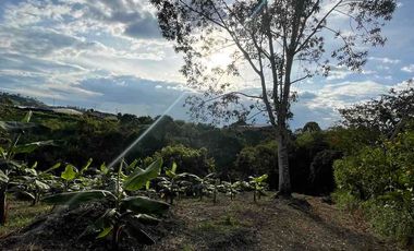 Vendo o permuto Lote en Combia