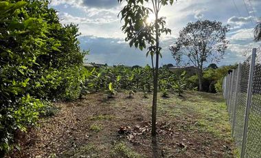 Vendo o permuto Lote en Combia