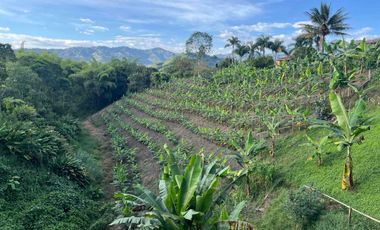 Vendo o permuto Lote en Combia