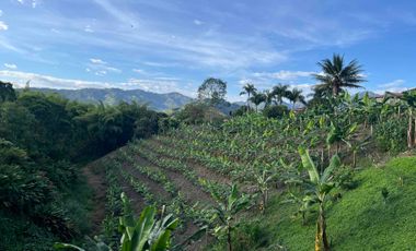 Vendo o permuto Lote en Combia
