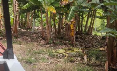 Vendo o permuto Finca de media cuadra