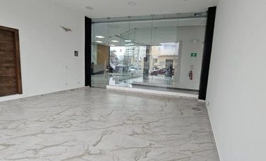 Alquilo local comercial edificio Platinum