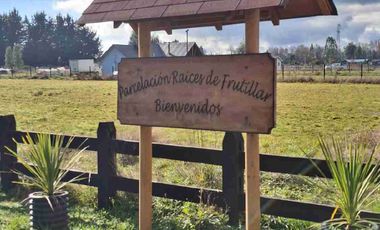 SE VENDE PARCELA 5000m2 EN FRUTILLAR, CERCANO A ROTONDA