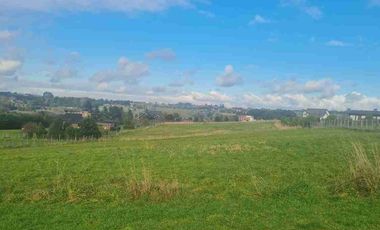 SE VENDE PARCELA 5000m2 EN FRUTILLAR, CERCANO A ROTONDA