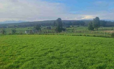 SE VENDE PARCELA 5000m2 EN FRUTILLAR, CERCANO A ROTONDA