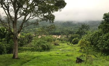 ¡Descubra el Paraíso Escondido en Chazuta, Tarapoto: Un Terreno de 68 Hectáreas con Potencial Ilimitado!