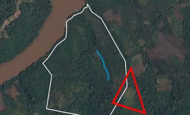 ¡Descubra el Paraíso Escondido en Chazuta, Tarapoto: Un Terreno de 68 Hectáreas con Potencial Ilimitado!