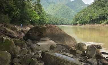 ¡Descubra el Paraíso Escondido en Chazuta, Tarapoto: Un Terreno de 68 Hectáreas con Potencial Ilimitado!
